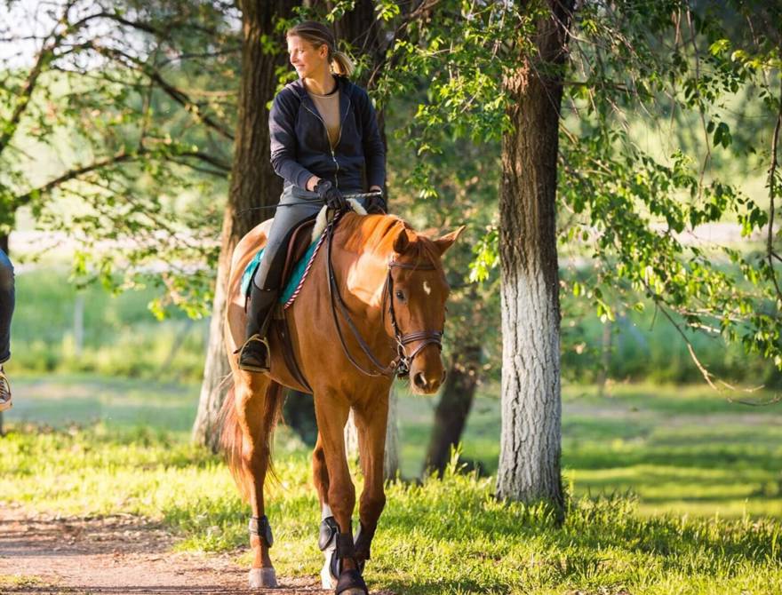 The Manor House — interior and exterior view 13