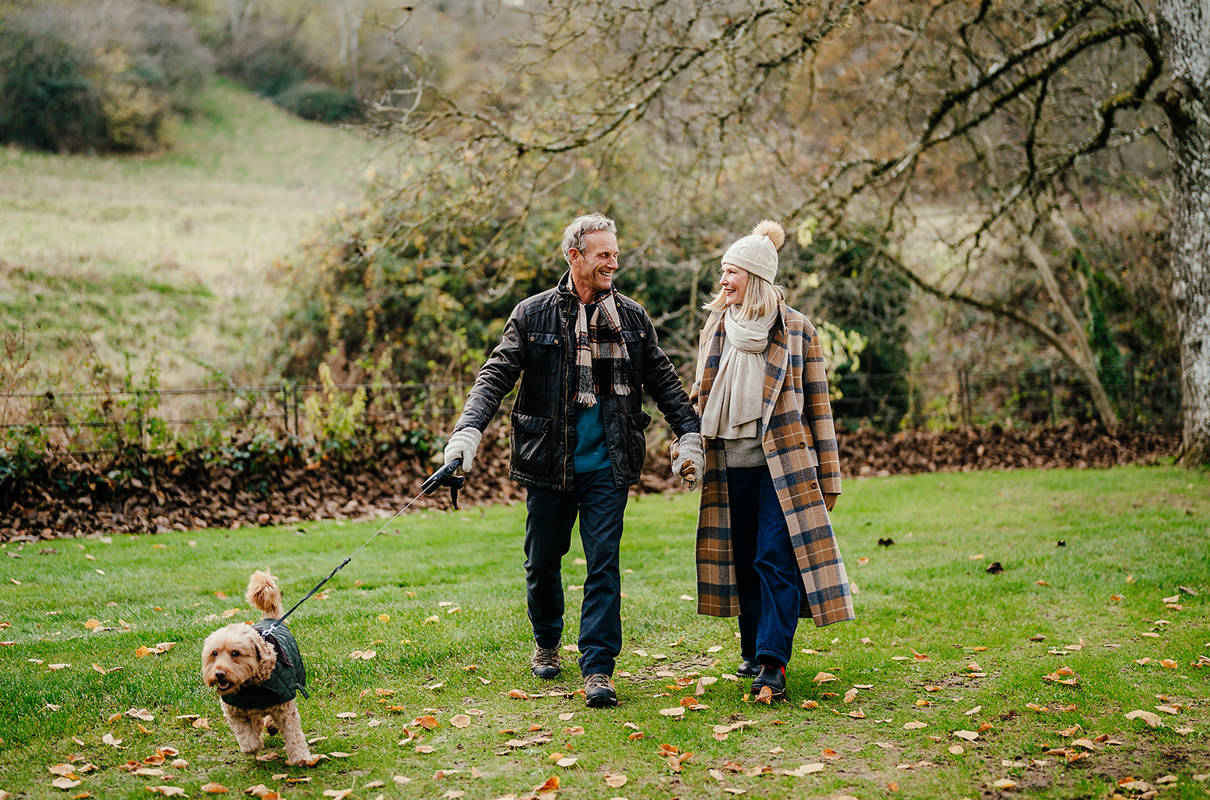 If our hotels were dog breeds, what would they be?