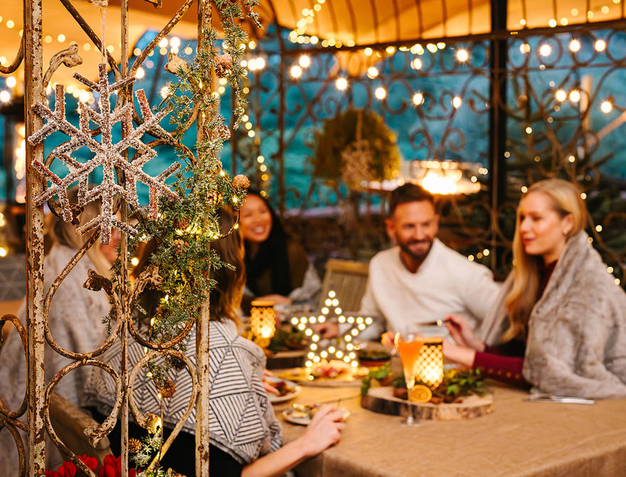 Winter on the Lily Pond Terrace