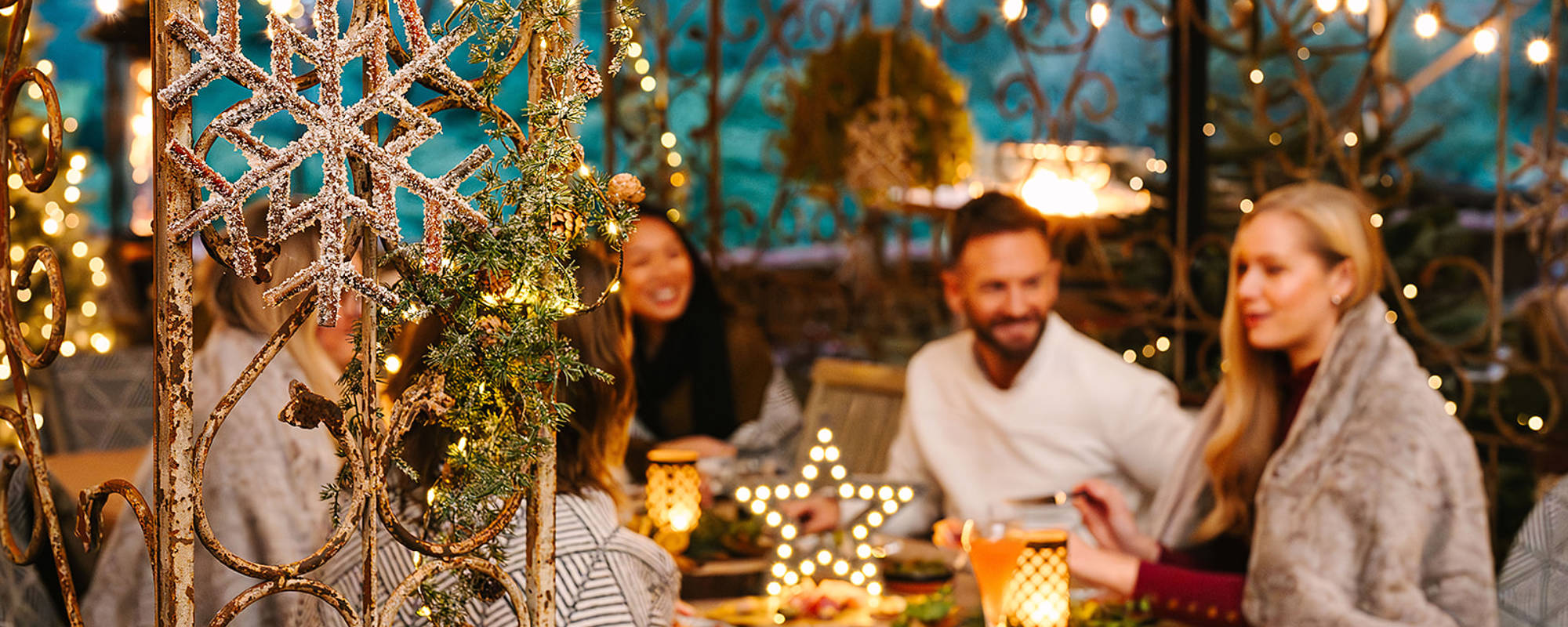 Lily Pond Winter Parties