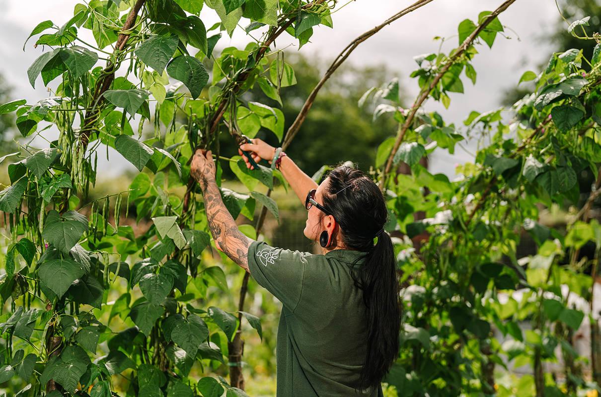 What's sowing on right now Steph?
