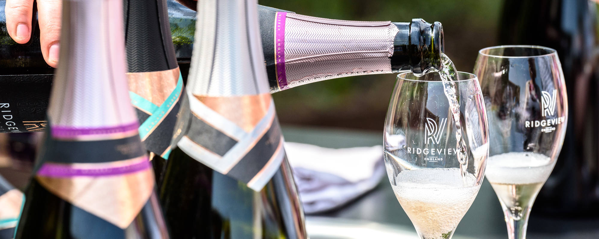 Wine Dinners