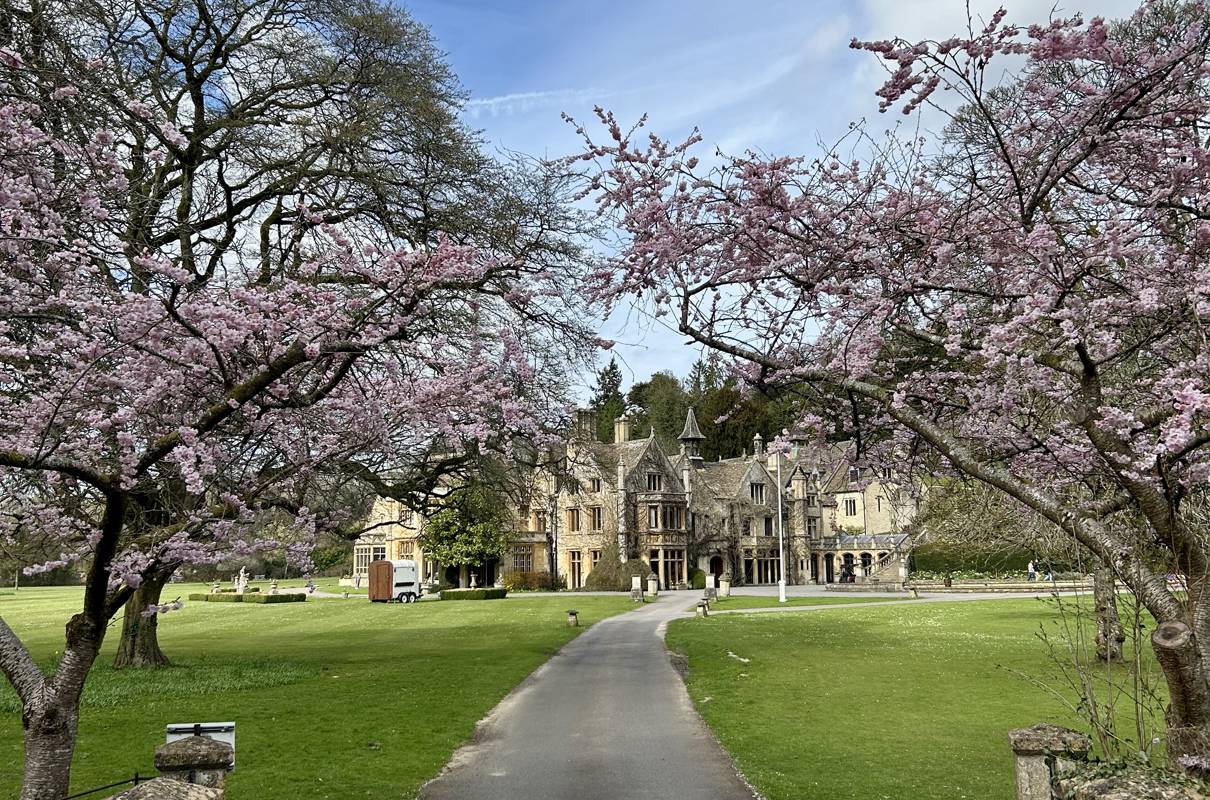 The Manor House: A Fairytale in Bloom