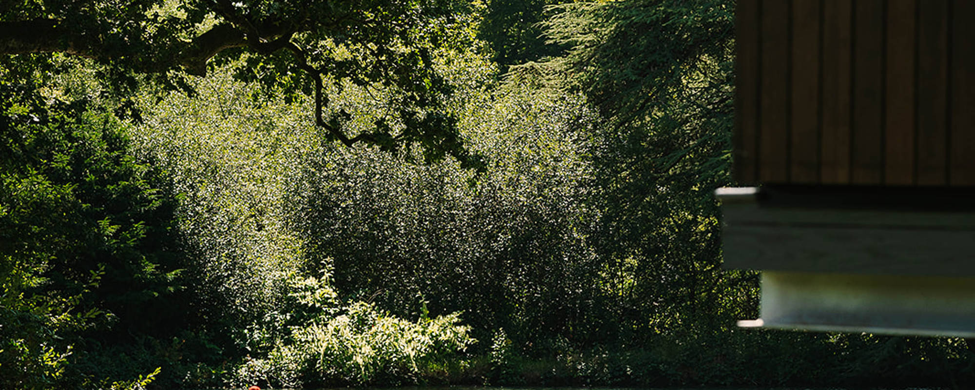 Wild swimming weekend