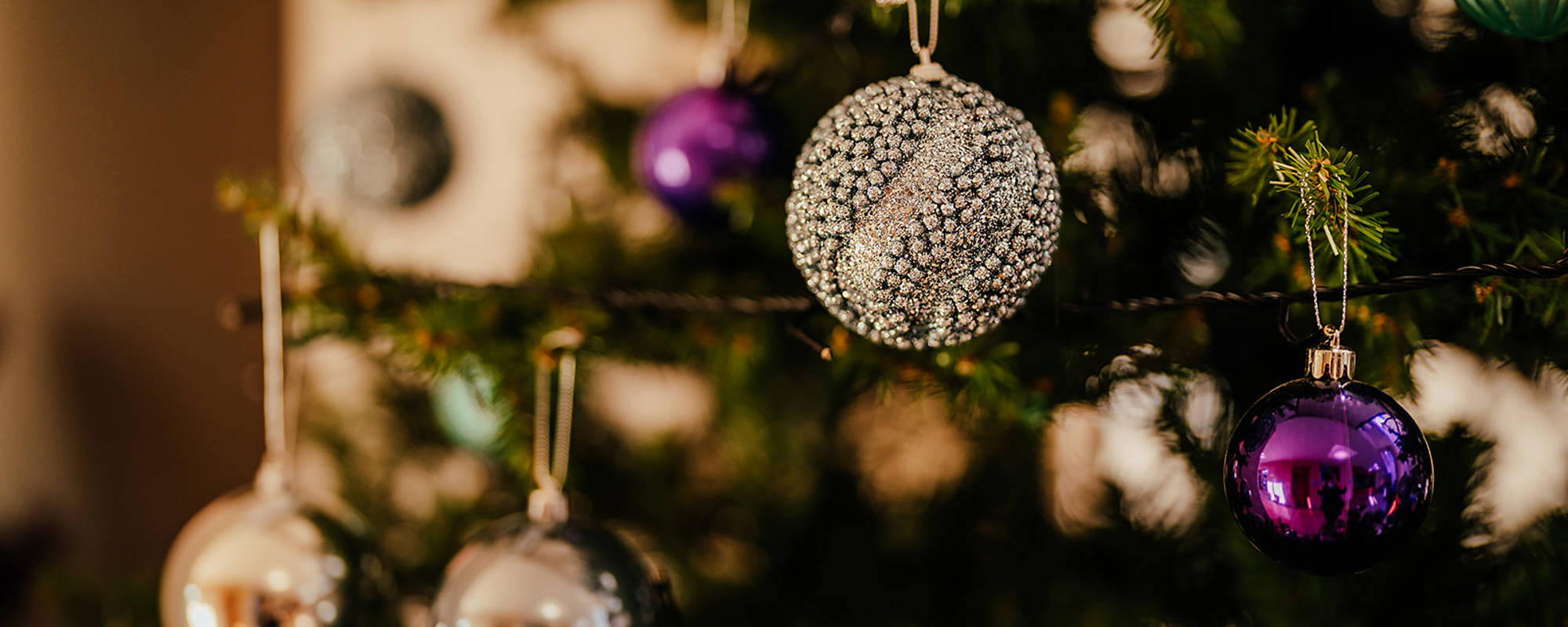 Looking for a Christmas Gift?