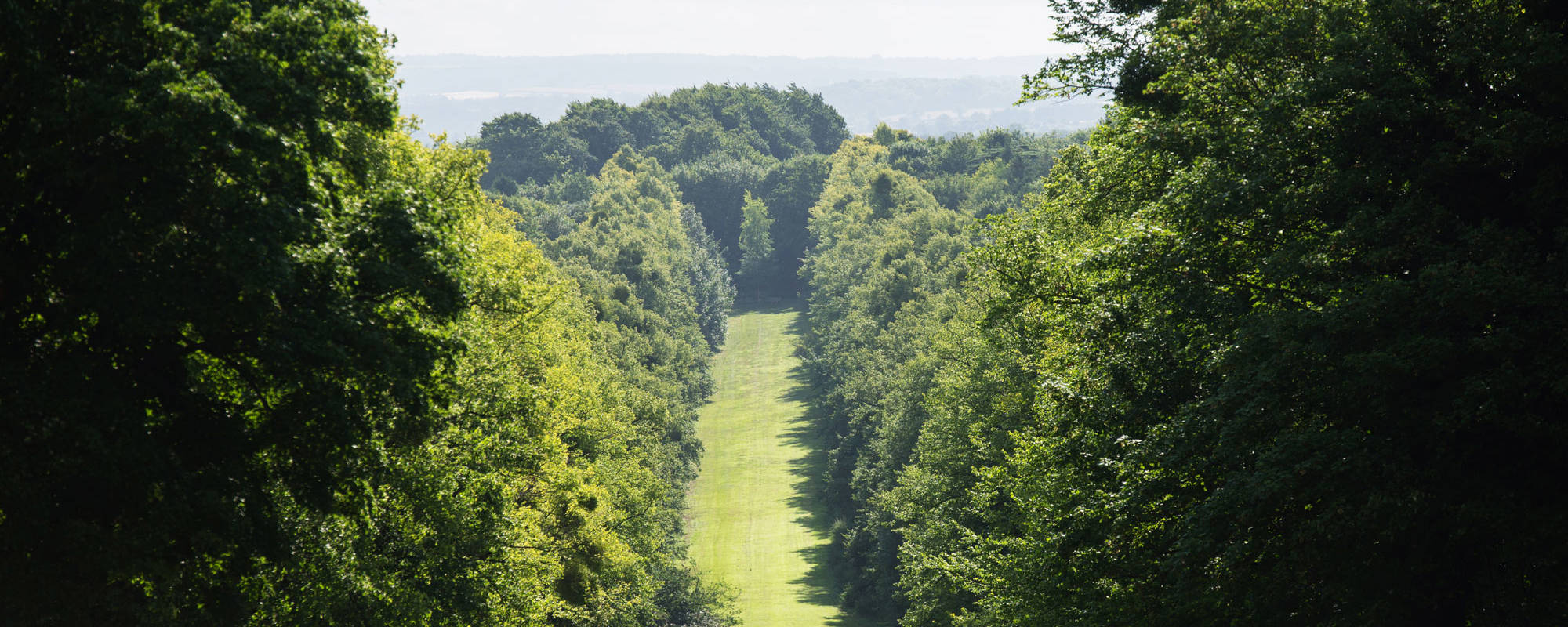 Our Gardens and Grounds