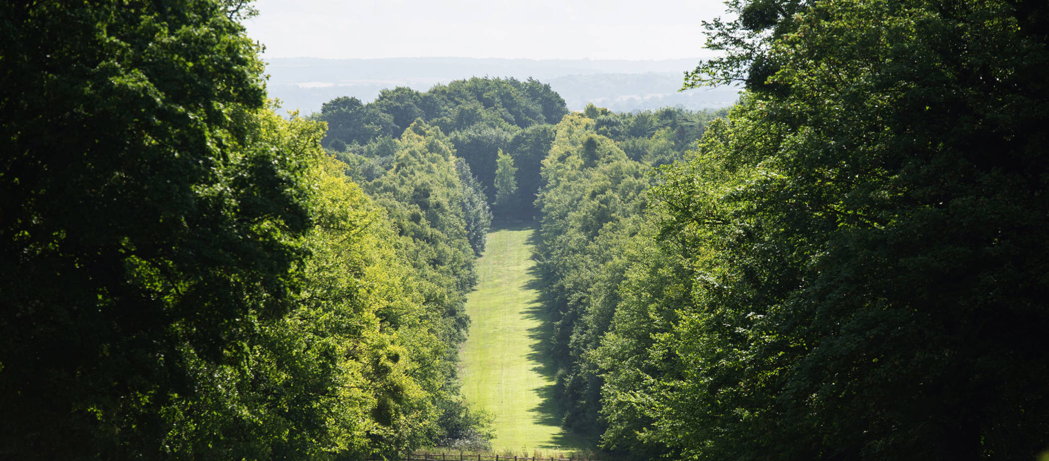 Our Gardens and Grounds