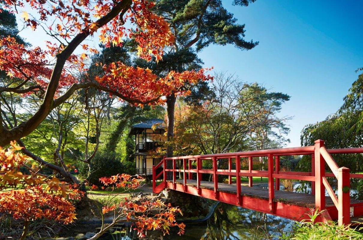 Fanhams Hall – For the Energetic Border Collie