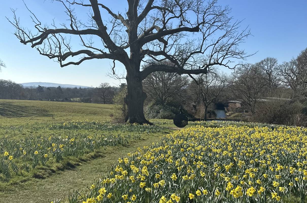 South Lodge: Springing into Spring