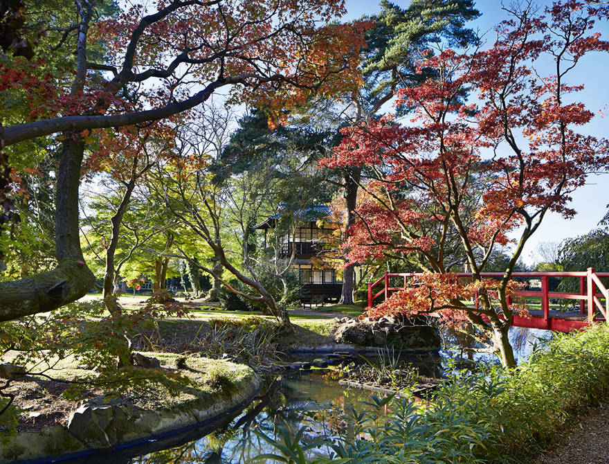 Autumn in Hertfordshire