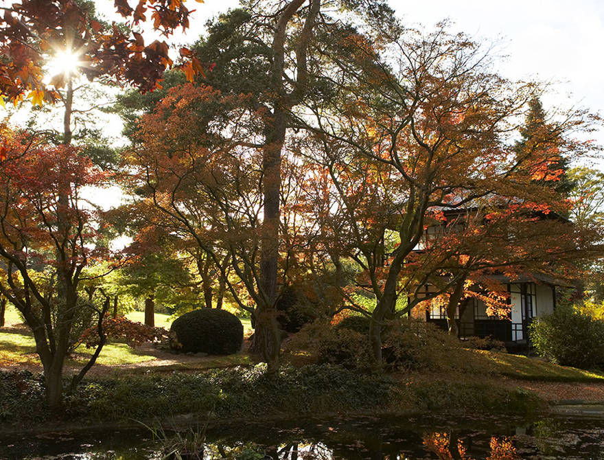 Autumn Escape
