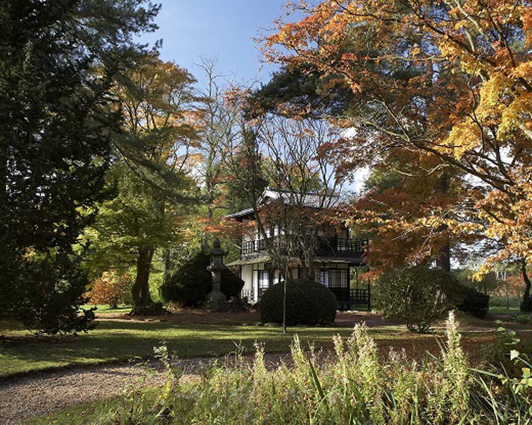 Outdoor Magic – Gardens, Lawns & More